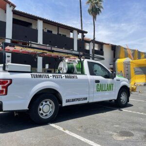 best pest control service san bernardino california 3