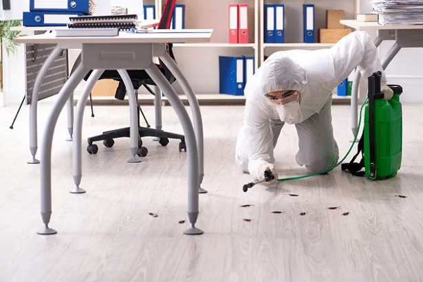 Best Pest Control Service San Diego California