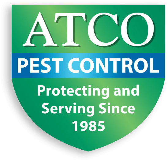 Best Pest Control Service San Francisco California