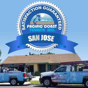 best pest control service san jose california 3