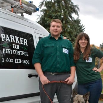 Best Pest Control Service Seattle Washington