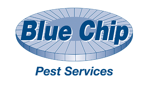 Best Pest Control Service St. Louis Missouri