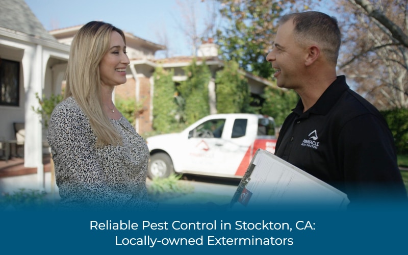 Best Pest Control Service Stockton California