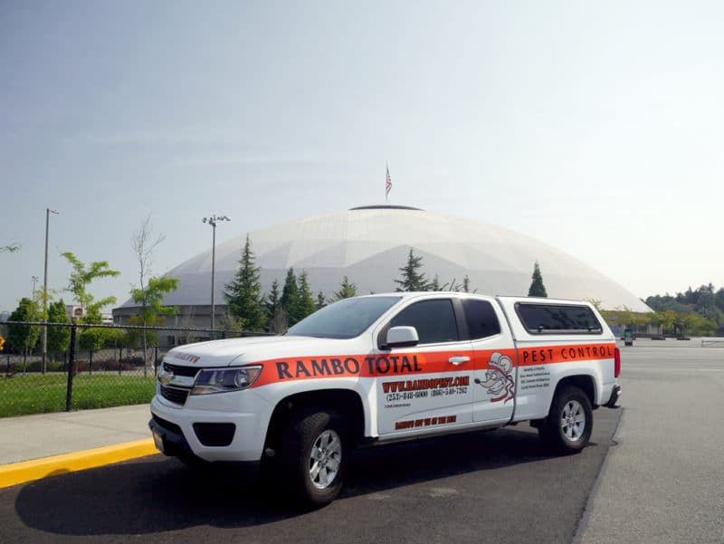 Best Pest Control Service Tacoma Washington Best Pest Control Service Tacoma Washington