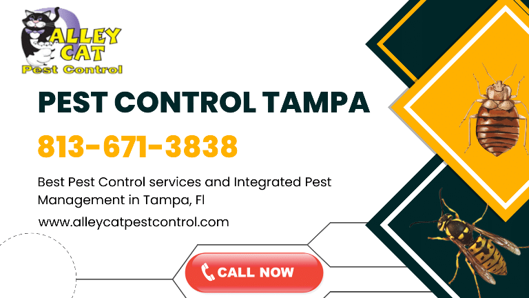 Best Pest Control Service Tampa Florida