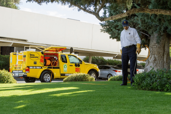 Best Pest Control Service Tampa Florida