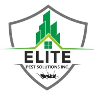best pest control service washington district of columbia 2