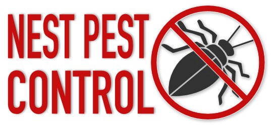 Best Pest Control Service Washington District Of Columbia