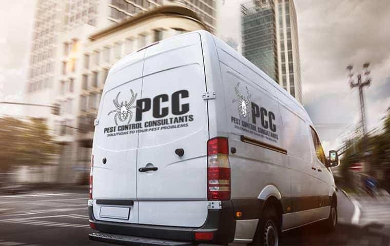 Pest Control Consultants