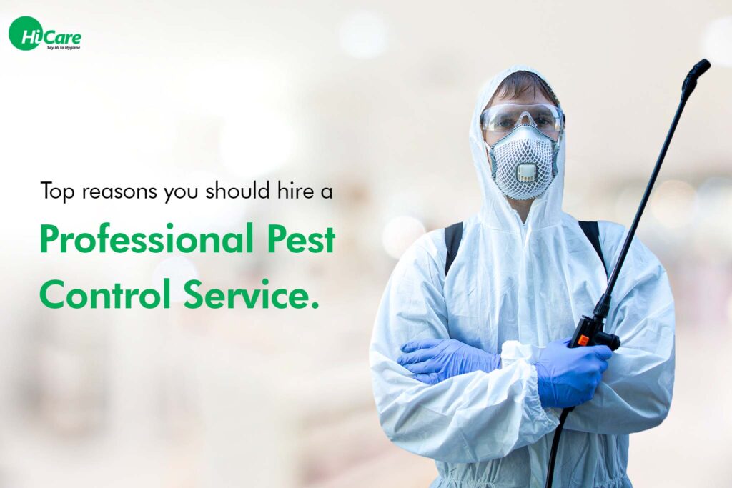 Pest Control Services