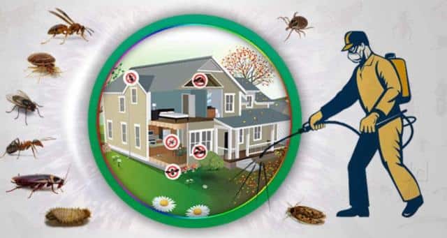 Pest Control Services