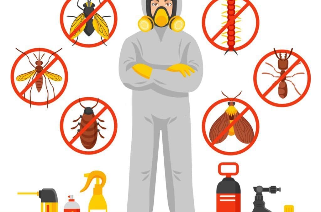 Pest Control Services