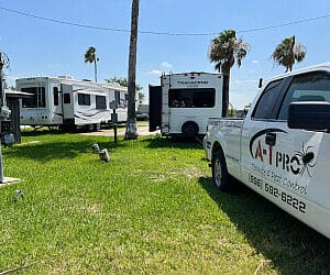 best pest control service brownsville texas 2