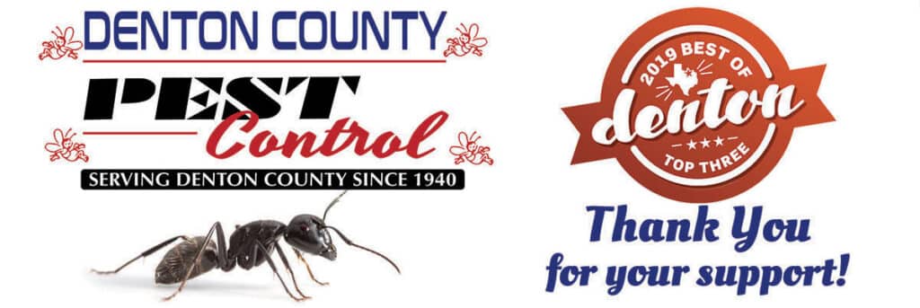 Best Pest Control Service Denton Texas Best Pest Control Service Denton Texas