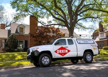 Best Pest Control Service Fort Collins Colorado