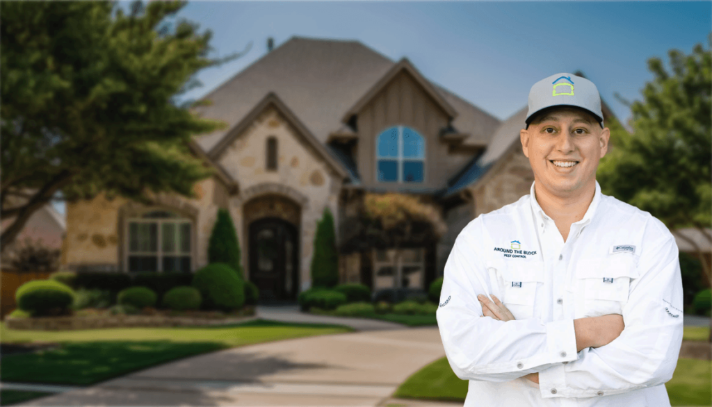Best Pest Control Service Mckinney Texas