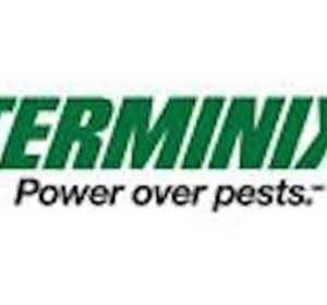 best pest control service oceanside california 2