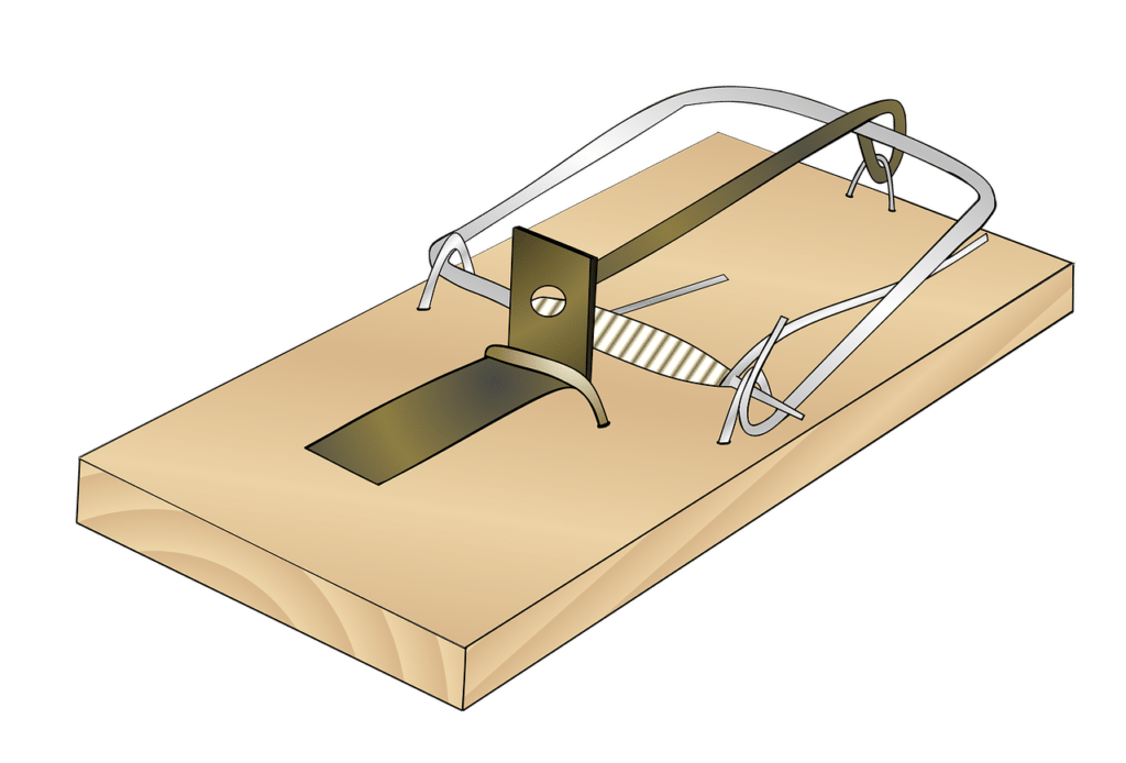 Best Pest Control Service Paterson New Jersey