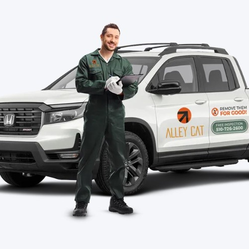Best Pest Control Service Richmond California