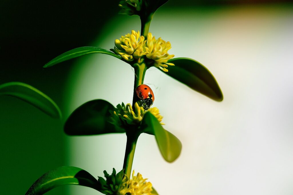 Beyond Extermination: Long-Term Strategies For Sustainable Pest Management Beyond Extermination: Long-Term Strategies For Sustainable Pest Management