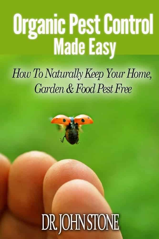 Eco-Friendly Pest Control: Keeping Your Home Green And Bug-Free
