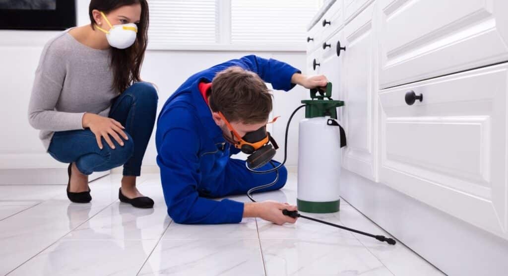 Raiding The Pantry: Defeating Pests In Your Kitchen