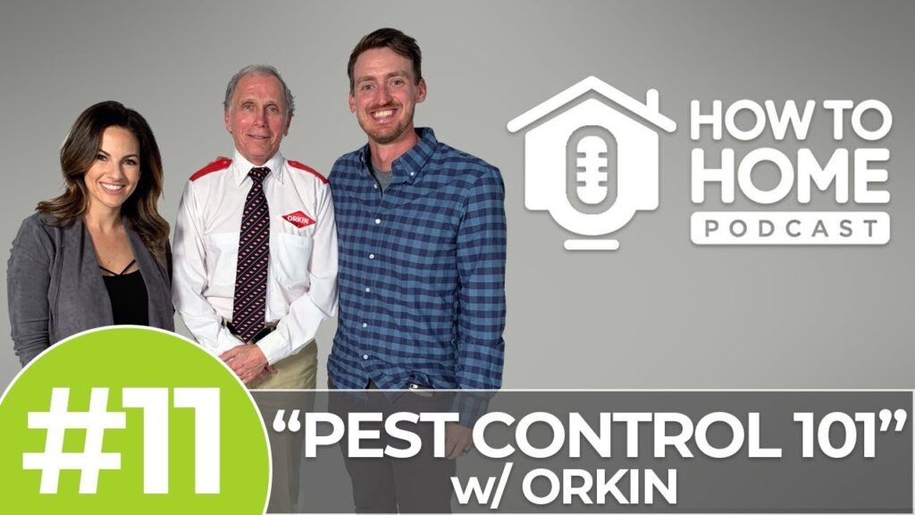 Pest Control 101: Protecting Your Home And Family