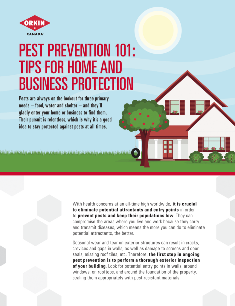 Pest Control 101: Protecting Your Home And Family