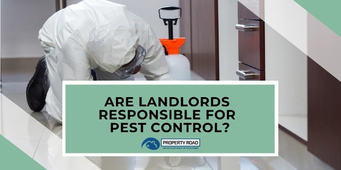 Pest Control And Real Estate: Ensuring Your Property Stays Valuable Pest Control And Real Estate: Ensuring Your Property Stays Valuable
