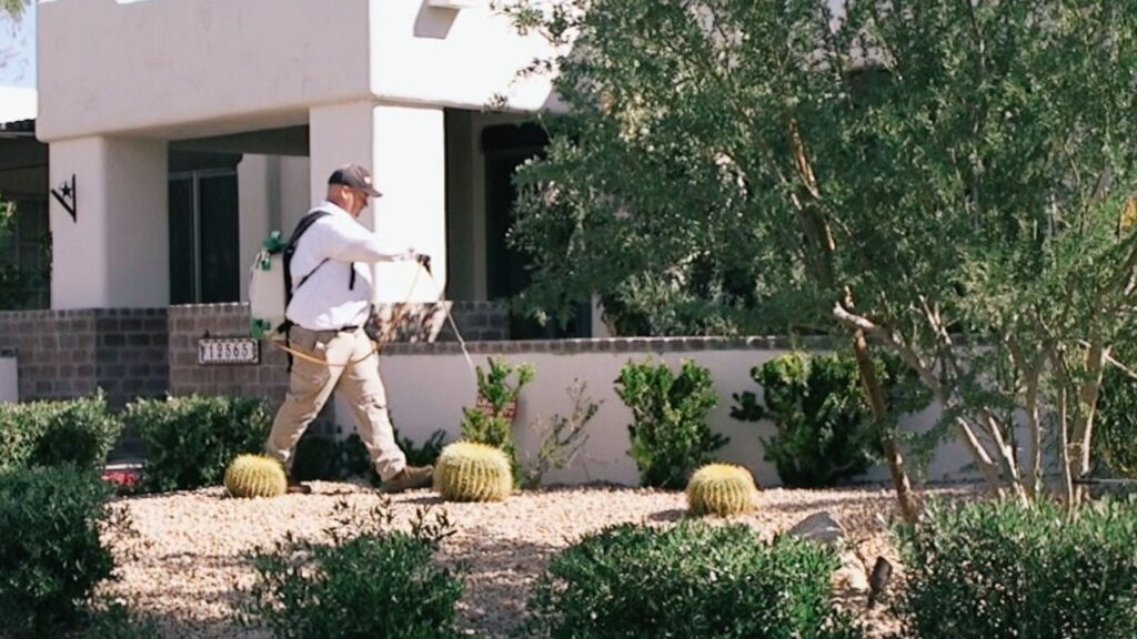 Pest Control And Real Estate: Ensuring Your Property Stays Valuable Pest Control And Real Estate: Ensuring Your Property Stays Valuable