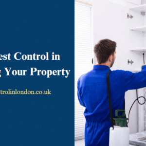pest control and real estate ensuring your property stays valuable