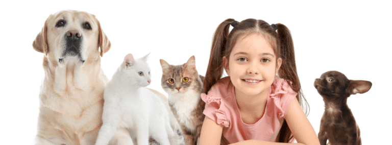 Pest Control For Pet Owners: Keeping Furry Friends And Homes Safe