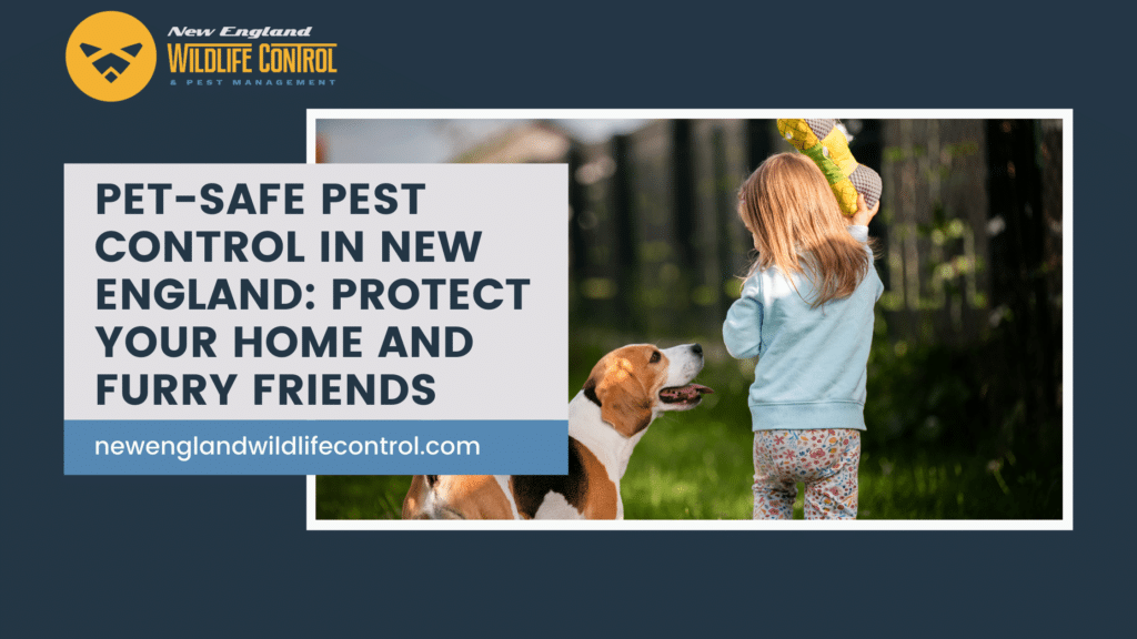 Pest Control For Pet Owners: Keeping Furry Friends And Homes Safe