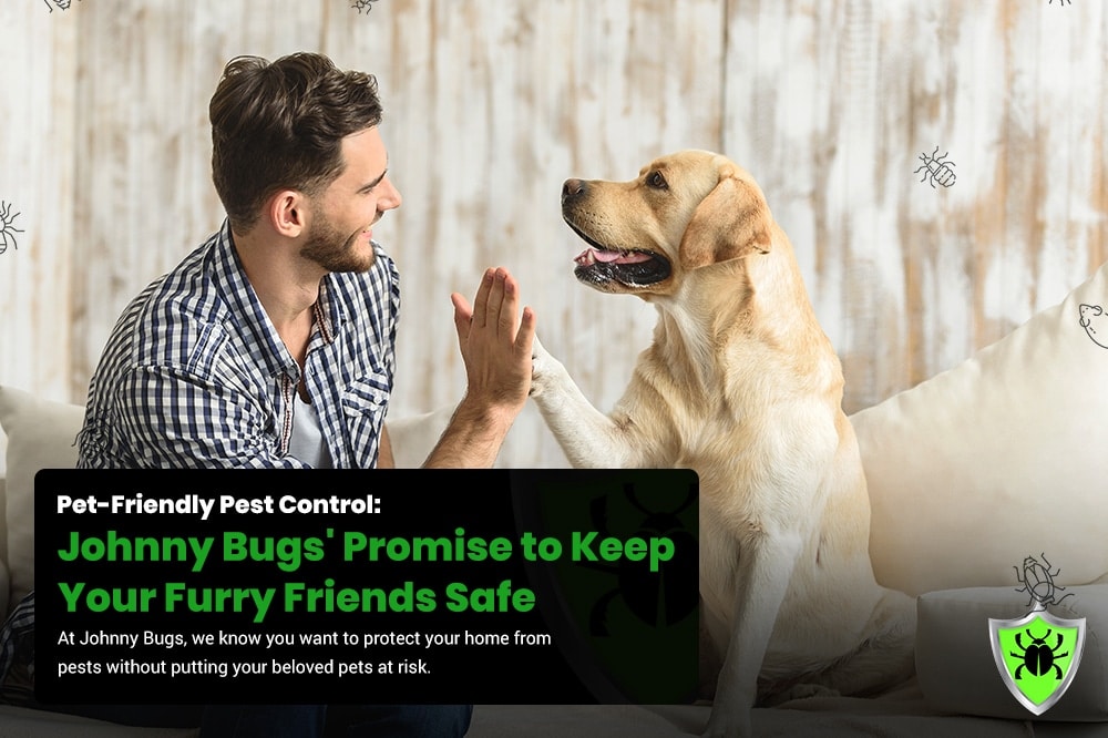 Pest Control For Pet Owners: Keeping Furry Friends And Homes Safe