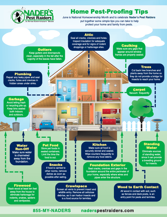 Pest Control Masterclass: Expert Insights For A Pest-Resistant Home Pest Control Masterclass: Expert Insights For A Pest-Resistant Home