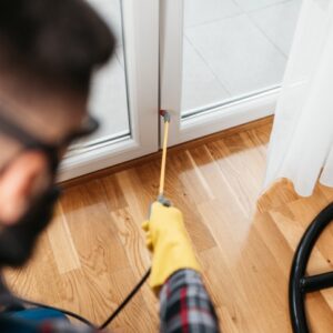 pest control myths debunked what really works and what doesnt 2