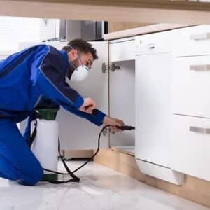 pest control16