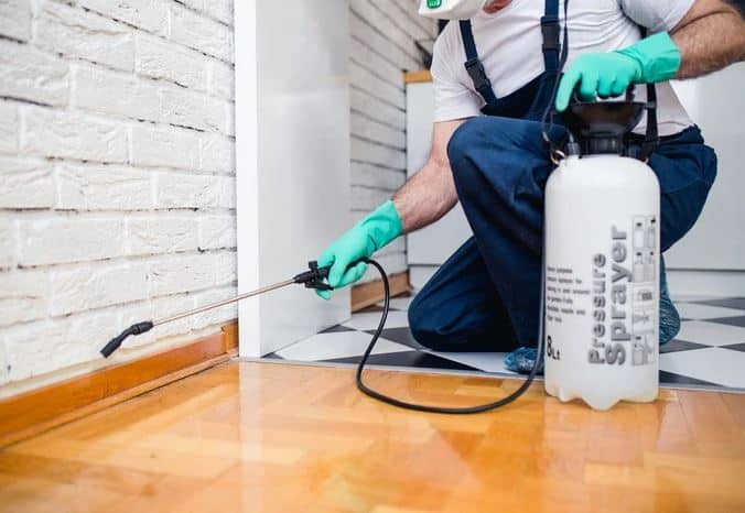 The Hidden Dangers: How Pests Can Impact Your Health And Home