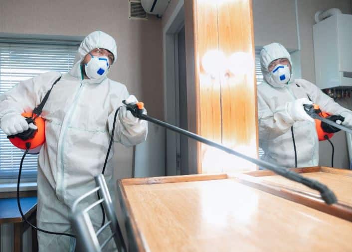 The Silent Invaders: A Deep Dive Into Hidden Pest Threats