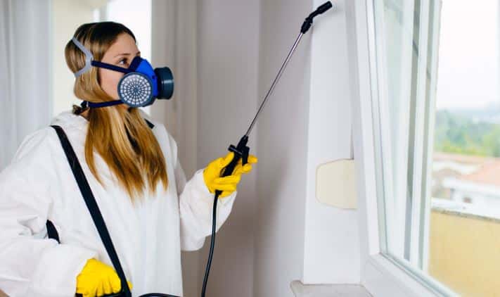 Pest Control In The Digital Age: Smart Tech Solutions For A Bug-Free Home