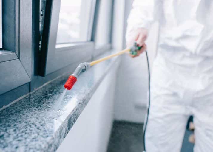 From Mice To Moths: A Room-by-Room Guide To Pest-Proofing Your Home