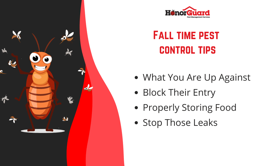 Pest Prevention Hacks: Stay Ahead Of The Critters