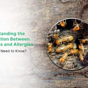 pests and allergies the surprising connection and how to combat it