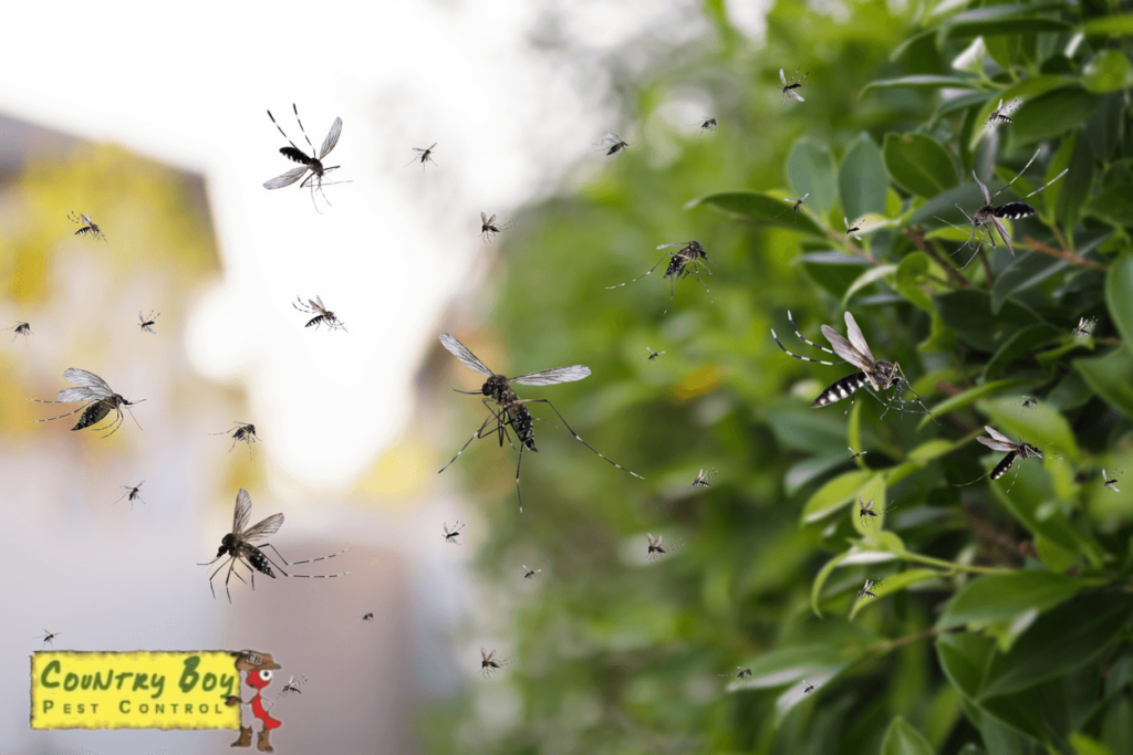 Surviving The Swarm: Emergency Pest Control Measures You Need To Know