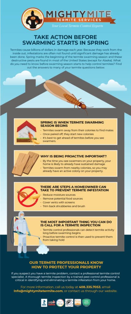 Surviving The Swarm: Emergency Pest Control Measures You Need To Know