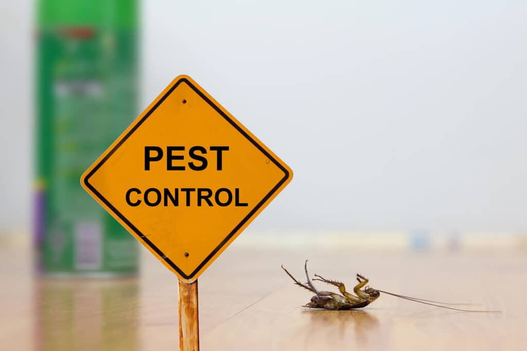 The Hidden Dangers: How Pests Can Impact Your Health And Home