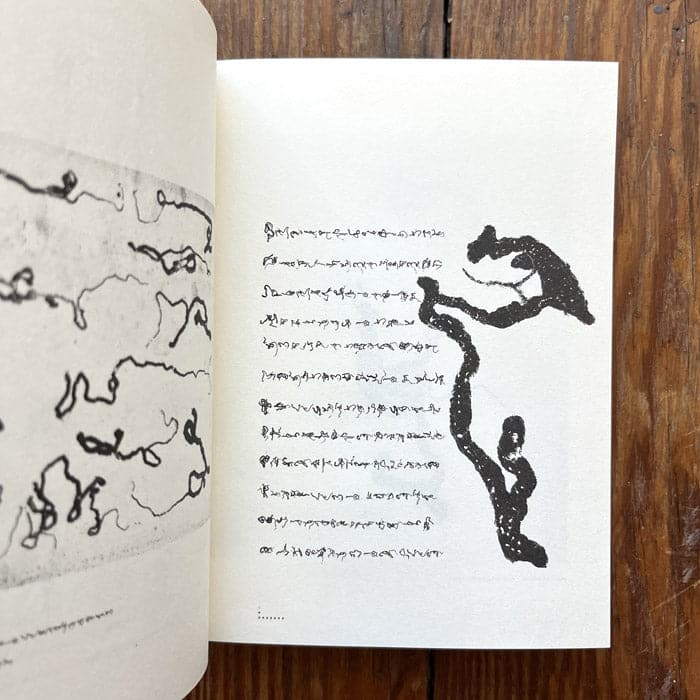 The Pest Whisperer: Understanding The Language Of Bugs