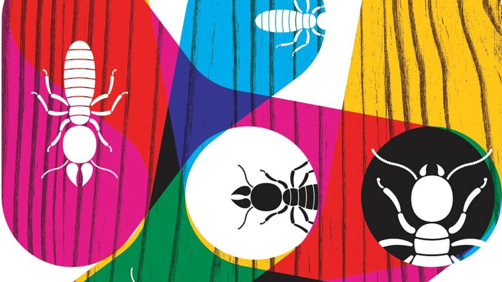 The Secret Life Of Termites: Exploring The Underground World Of Wood-Eating Pests