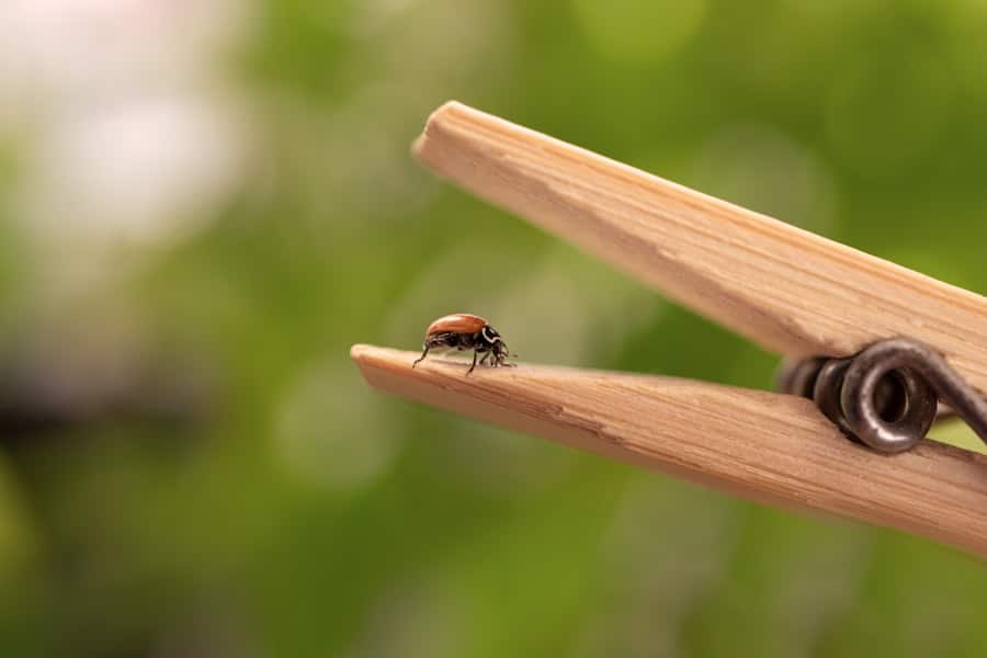 Biological Pest Control 1 abcdhe 70