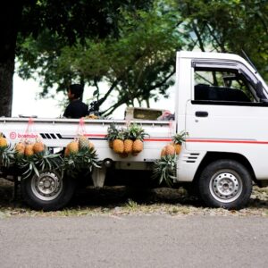 Photo Exterminator truck